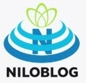 درباره ی تن تن